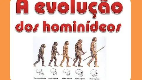 Como foi a evolução dos hominídeos?