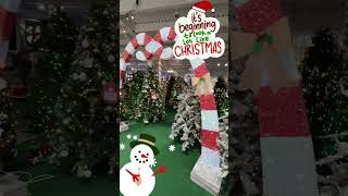 🎄 Christmas Eve Sparkly Trees at Menards