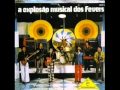 THE FEVERS - SOU ASSIM