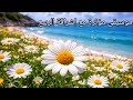 ربيع الروح موسيقى مؤثرة تعيد للروح صفاءها مع إشراقة الربيع