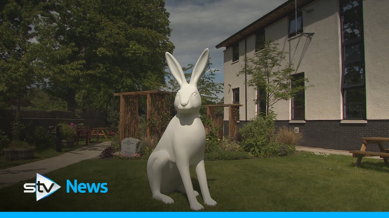 Aberdeen cancer charity marks 40 years by launching fundraising art trail