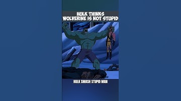 Hulk Thinks Wolverine Is Not Stupid 😂