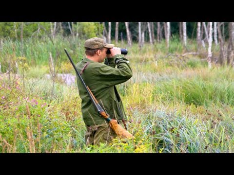 Специалисты Госохотоуправления выявили более трехсот нарушений с начала года