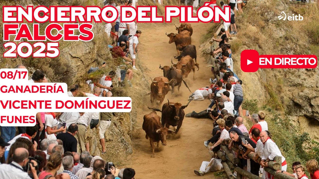 17/08/2025 🔴 DIRECTO 🔴 ENCIERRO DEL PILÓN 🔴 FALCES