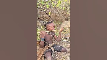 "Why Do Arrows Have Feathers?"😨#shorts