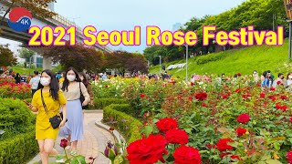[4K] '2021 SEOUL ROSE FESTIVAL' Most beautiful festival in Seoul, Hope & Happiness in full blossom.