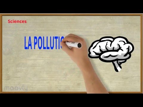 Sciences - La pollution de l&rsquo;eau