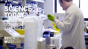 How the UK is creating the first "three-person" baby