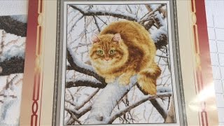 Вышивка крестиком. Рыжий кот . Золотое руно . Отчёт 3 Вышивка крестиком. Рыжий кот . Золотое руно . Отчёт 3