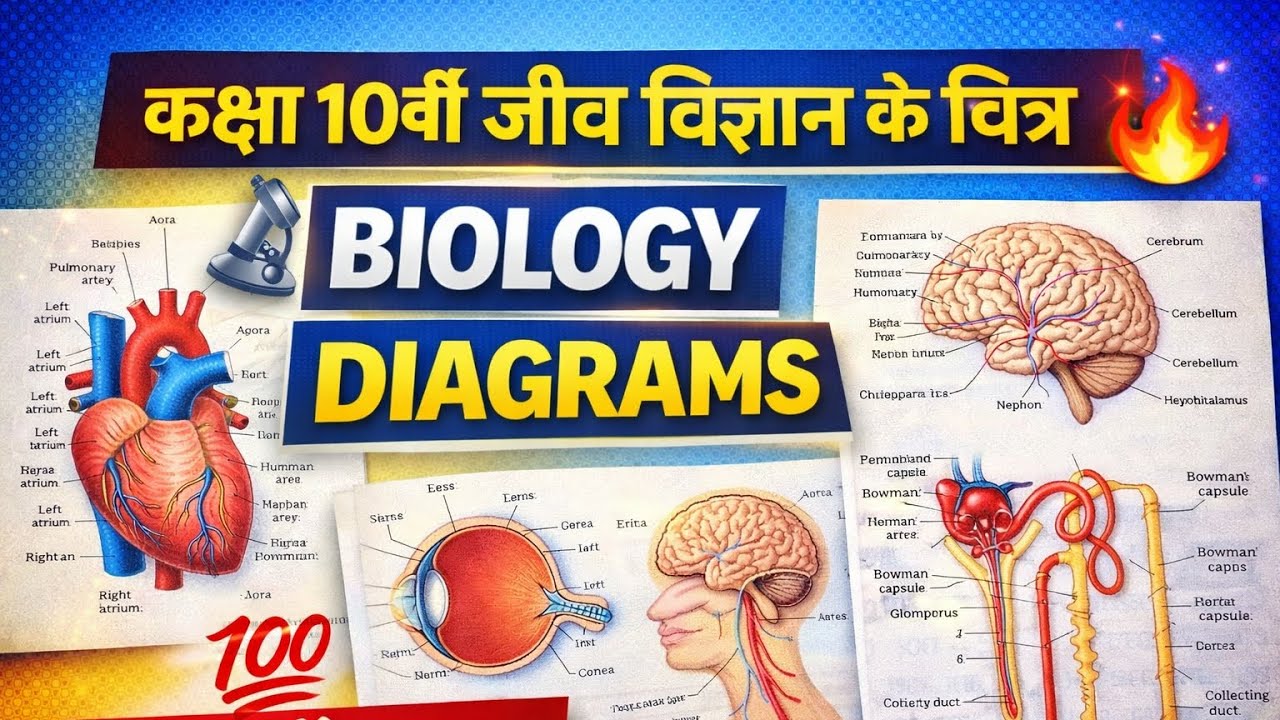 Class 10 Biology Diagram Questions 🔥 | Board में आने वाले चित्र