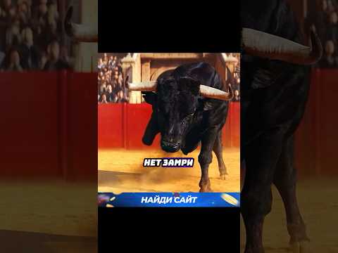 Перепутал фильм с документалкой 🤣 #фильмы #лучшиефильмы #топ #сериалы #shorts #shortvideo #youtube