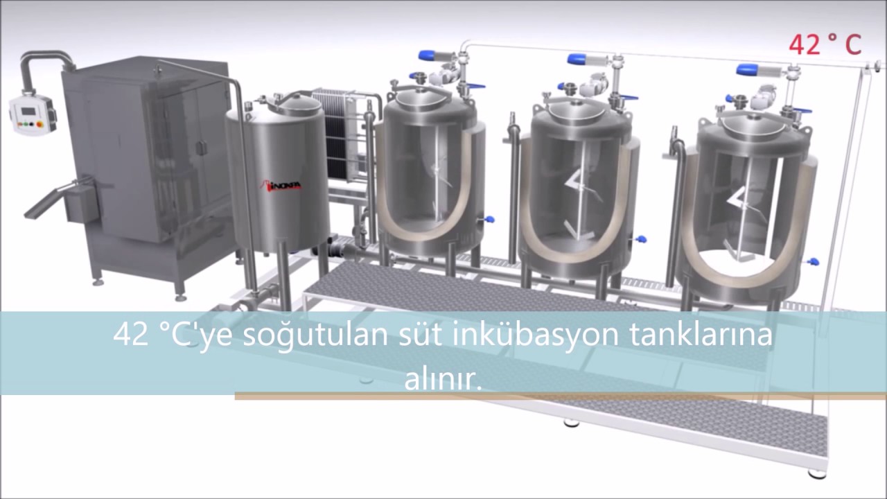 probiyotik yoğurt üretim aşamaları