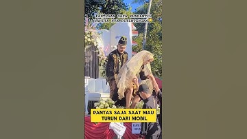 pengantin viral bikin ngakak ‼️‼️#ngakak #lucu #pengantinviral #nikah #karnaval