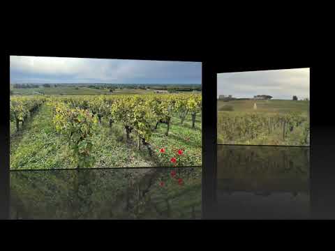 Related Embedded Video Item Thumbnail