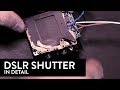 A Detailed Look At How a DSLR Shutter Works