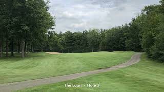 The Loon By Michigan Golf Matrix