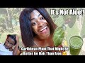 ALOE VERA WHO? Caribbean Hair Growth Remedy!| JAMAICAN TUNA PLANT FOR RELAXED HAIR GROWTH AND REPAIR