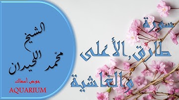سورة الطارق و سورة الأعلى و سورة الغاشية بصوت الشيخ محمد اللحيدان تلاوة خاشعة # حوض أسماك