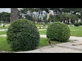 Jardim do Estoril em frente o casino😁🙏🇵🇹🇵🇹🇵🇹 - YouTube