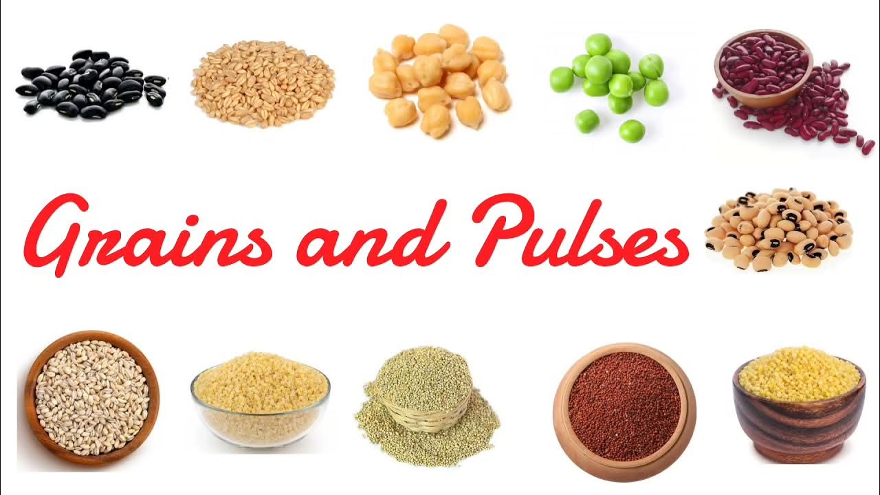 Grains and Pulses names in English Grains name Pulses name