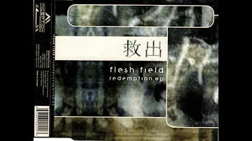 Flesh Field - Fallen Angel (Absolution Mix by Negative Format)