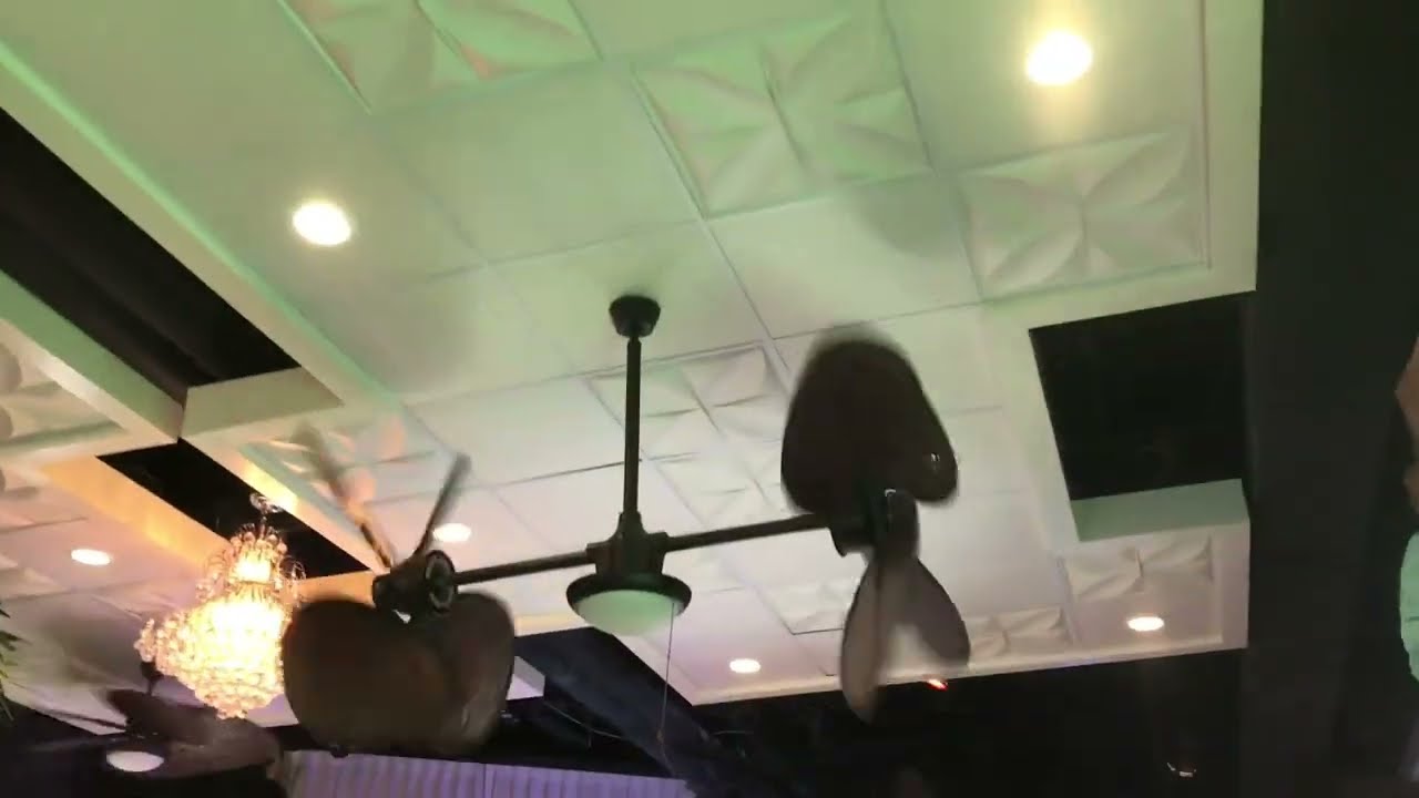 52" Fanimation Islander and Palisade Ceiling Fans (Old Video)