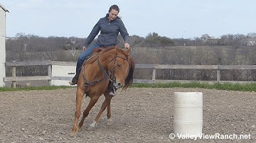 Miss Pep A Lena - having a blast on the barrels! - ValleyViewRanch.net