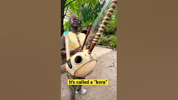 Chillin With My Kora West African Musical Instrument 