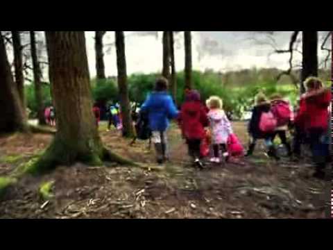 მედიამოლი