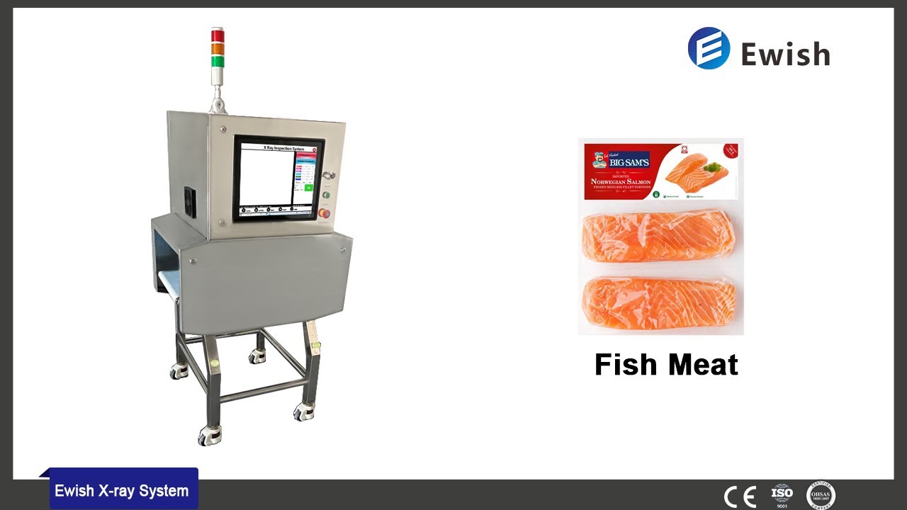 Ewish Tec丨EW-4000D X ray Inspection System for Fish Bones Detection