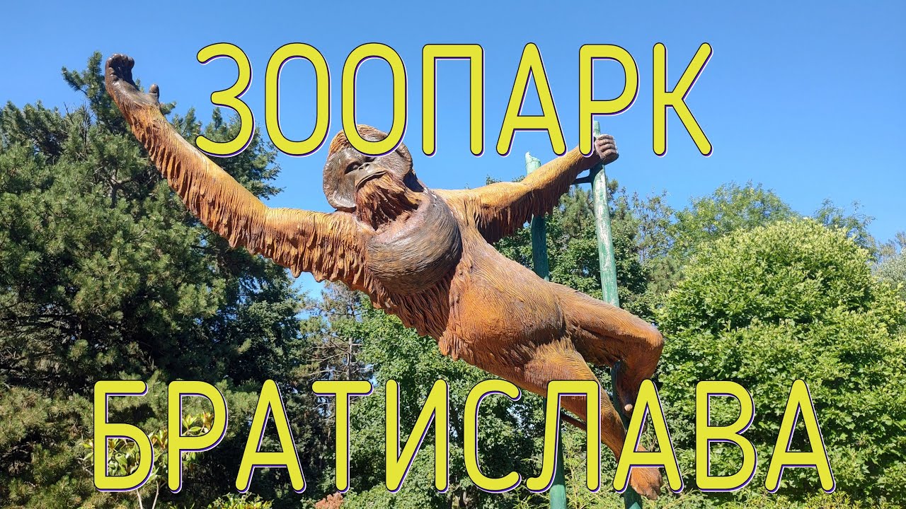ЗООПАРК  БРАТИСЛАВА. ZOO. BRATISLAVA