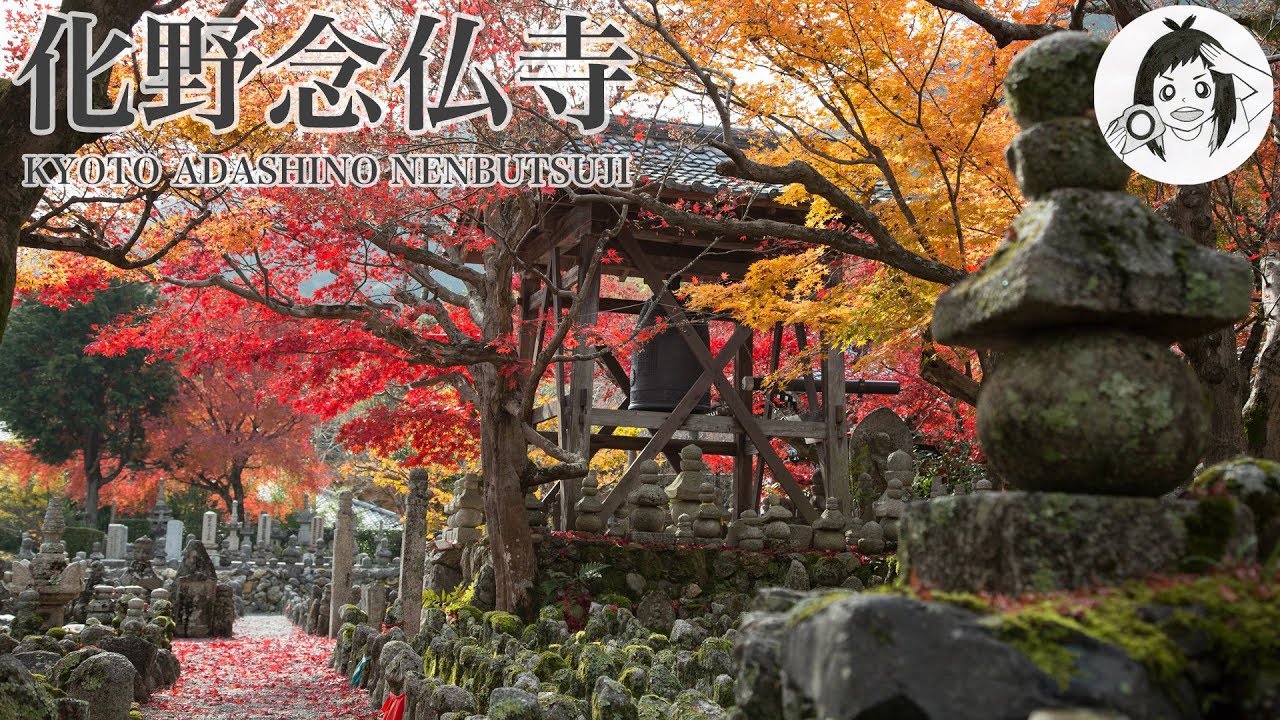 撮影の旅 紅葉に染まる京都 化野念仏寺を撮る Adashino Nenbutsu Ji Temple Of The Autumn Leaves ともよ Youtube