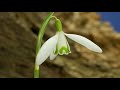 Весеннее настроение. Spring spirit