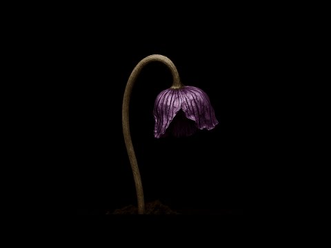 SENTO - Slow (Official Visualizer)