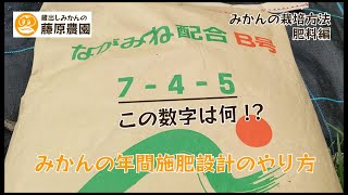 みかんの肥料のやり方！窒素リン酸カリウム（NPK）を中心に基本を解説します。