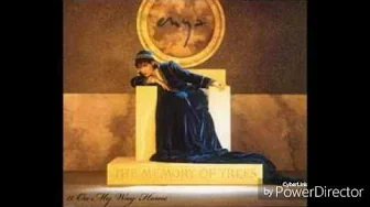 Enya - The Memory of Trees Medley Enya - The Memory of Trees Medley