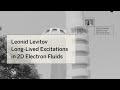 6_1_19_Leonid Levitov_Long-lived excitations in 2D electron fluids