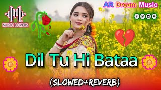 Dil Tu Hi Bataa ( Slowed Reverb ) Hindi Lofi Song | Tiktok viral | New Hindi Gana AR Dream Music