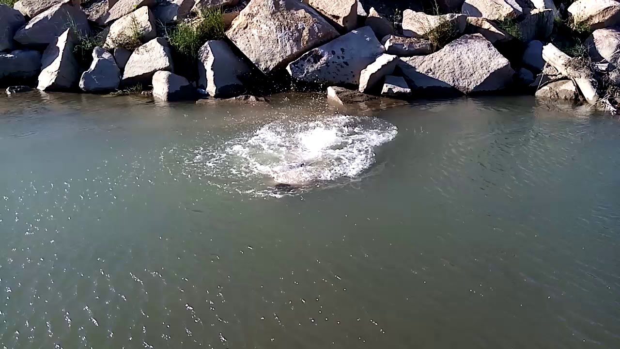 Каратал казахстан