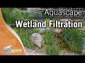 Wetland Filtration