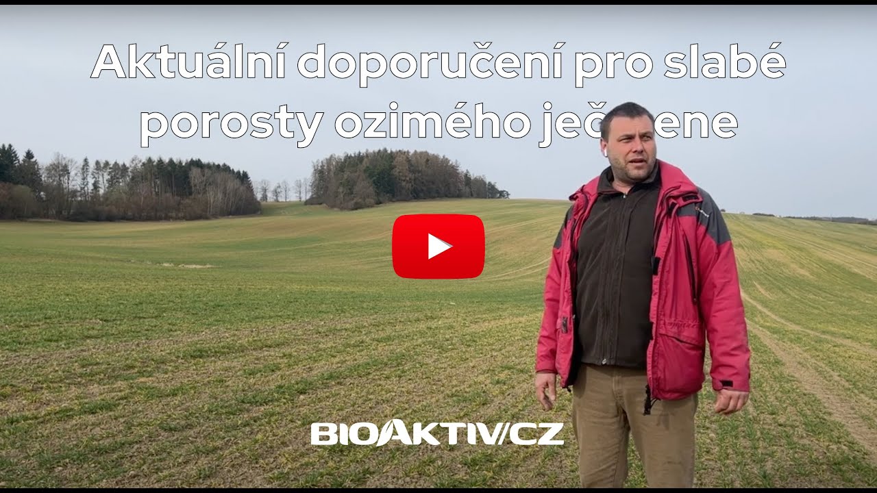 Aktuální doporučení pro slabé porosty ozimého ječmene