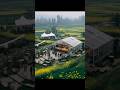 Incredible Transformation: Building a Dream Venue in a Flower Field!