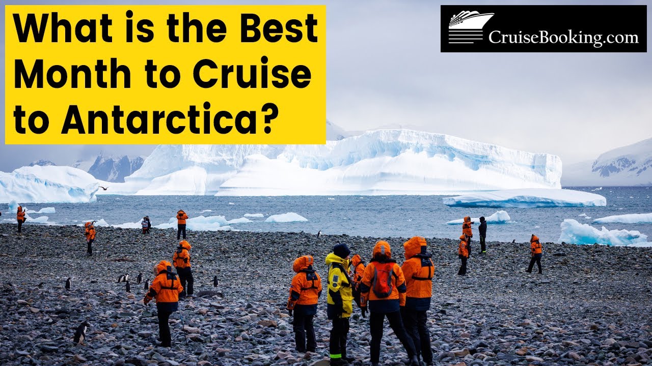 What is the Best Month to Cruise to Antarctica | CruiseBooking.com| #antarctica