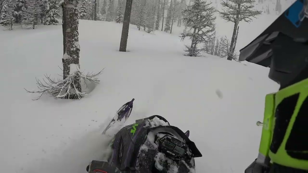 March 2nd, 2024 Turbo Alpha