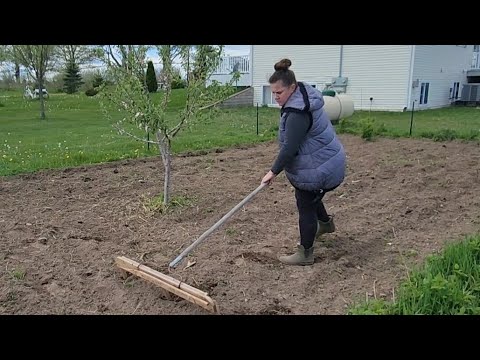 видео: САЖАЮ КАРТОШКУ В АМЕРИКЕ!!