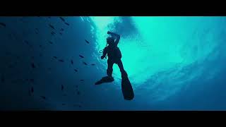 THE DIVE Trailer (2023) New Movie Trailers 4K