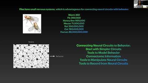 July 20, 2020: The Physics of Life. Brains and behavior in simple organisms