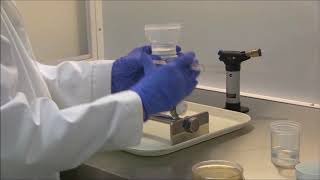 An overview of FMP