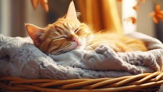 EXTREMELY Soothing Cat Therapy Music  Relax Your Cat! Cat Music