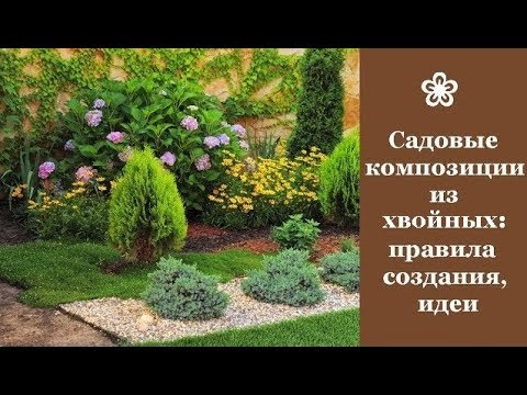 ❀ Садовые композиции из хвойных растений: правила создания, идеи